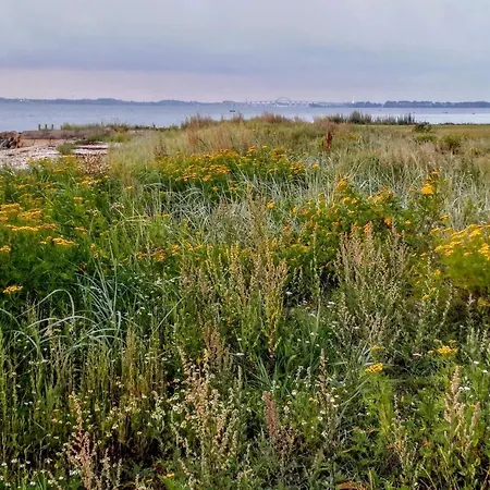 7 Person In Svendborg-by Traum *