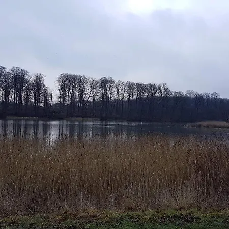 7 Person In Svendborg-by Traum